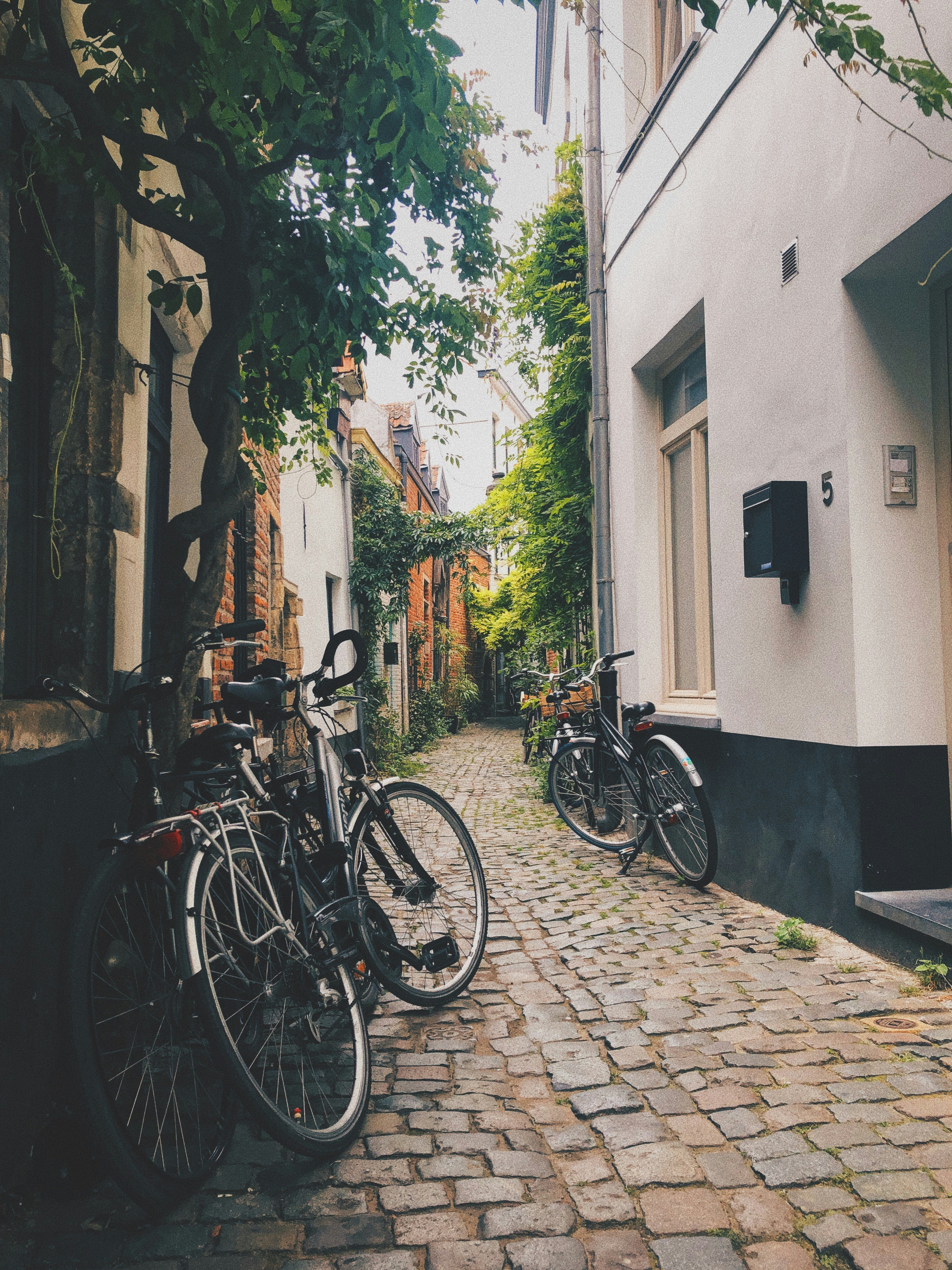 Bicycles along a narrow Belgian alley
